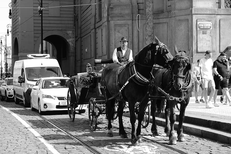 Europe, Horse, Horsecar, Prague, Czech, Road, transportation, black and white, police force, cultures, architecture