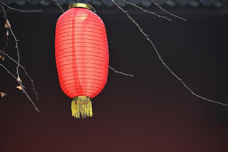 lanterne, décoration, Festival, afficher, des cultures, fête, fête traditionnelle, culture chinoise, nuit, lanterne chinoise, matériel d'éclairage