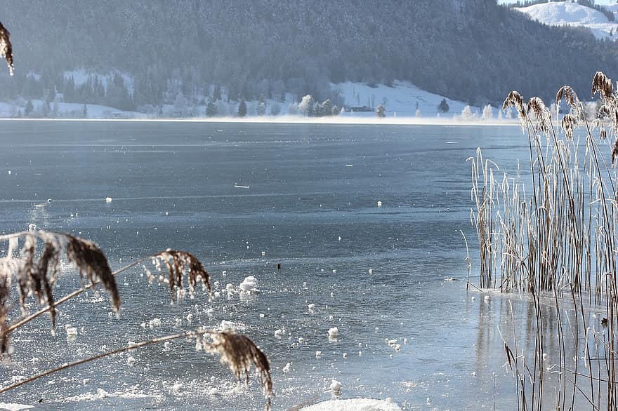 Mountains, Lake, Grass, Plants, Winter, Wintry, Cold, Tyrol, Walchsee, Austria