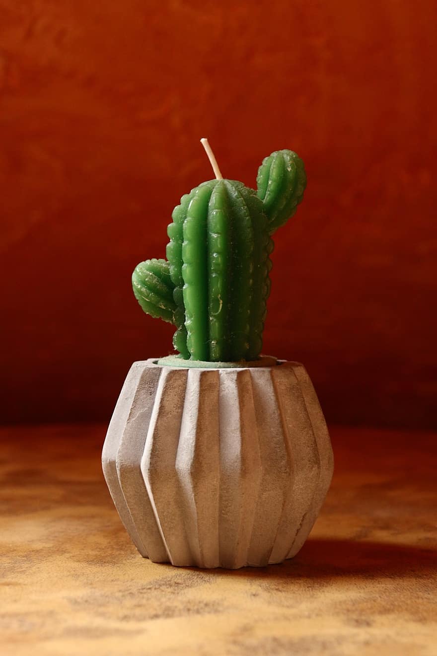 cactus, decoratie, ornament, kunst, detailopname, fabriek, groene kleur, blad, bloempot, doorn, vaas