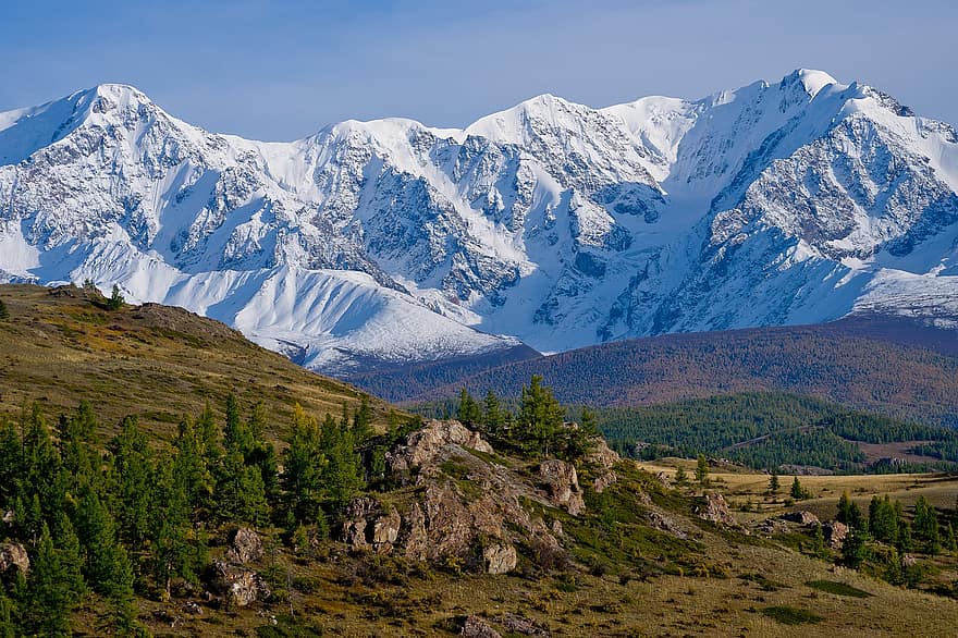 Altai, hegyek, ősz, természet, fű, hegy, hó, tájkép, erdő, hegycsúcs, hegység