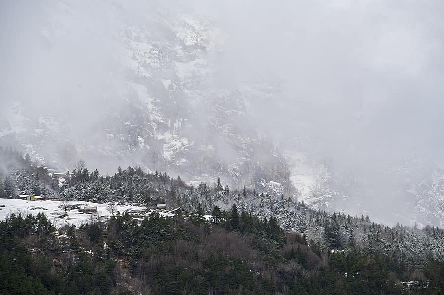 зима, природа, время года, Швейцария, на открытом воздухе, путешествовать, гора, снег, лес, пейзаж, дерево