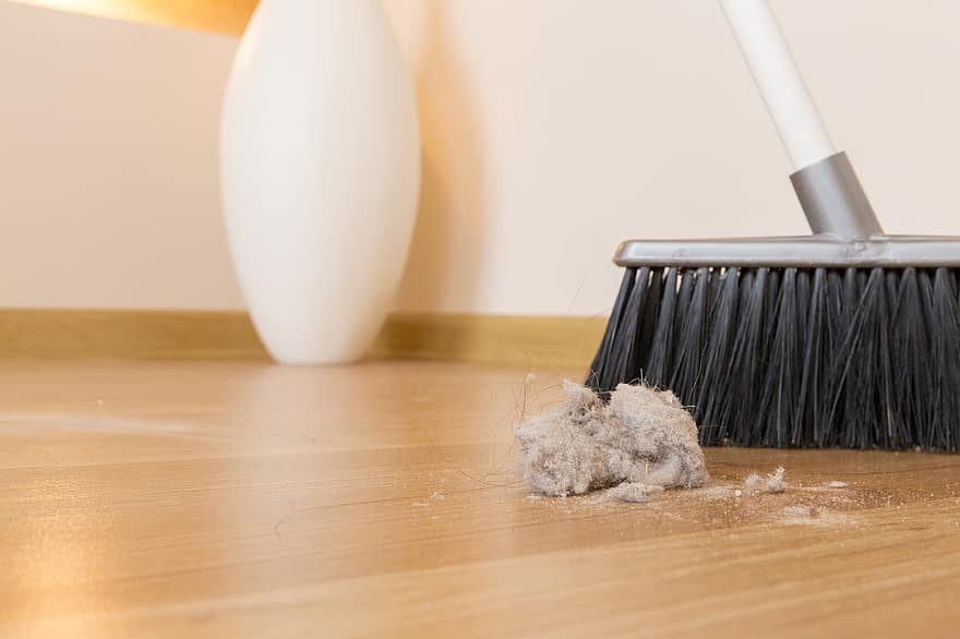 Broom, Dirt, Dust, Clump, Garbage, House, Indoors, Interior, Working, Ball, Besom