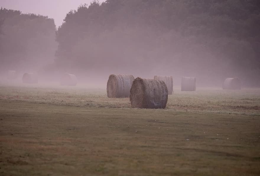мъглявина, Сламена ролка, бали сено, поле, сено, сутрин, сутрешна мъгла, пейзаж, селски