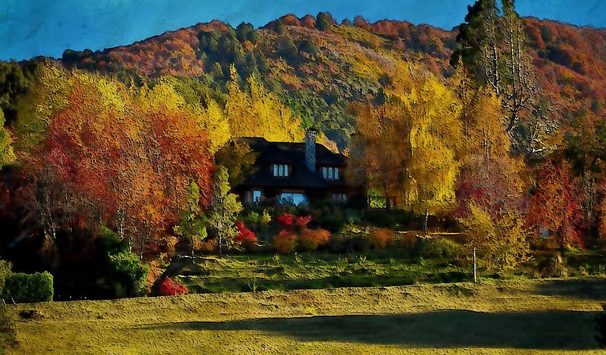 屋外の、風景、風光明媚な、見る、木、秋、葉、シーズン、デジタル、アート、作業