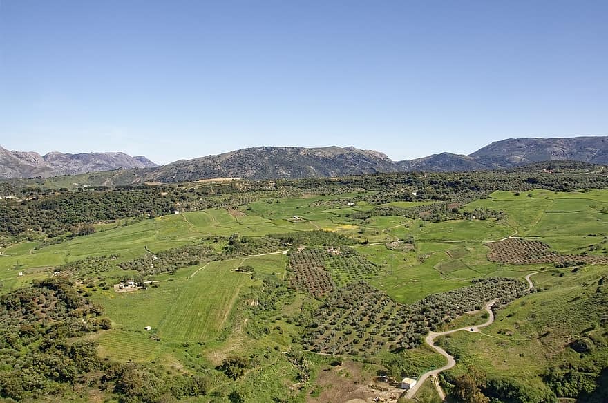 Spanien, andalusien, Malaga-provinsen, Benaojan, landsby, bjerge, træer, landskabet, landlige scene, landskab, bjerg