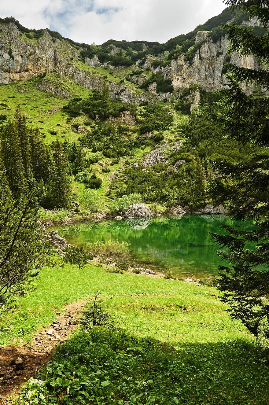 montenegro, Llac Jablan, muntanyes, durmitor, bosc, naturalesa