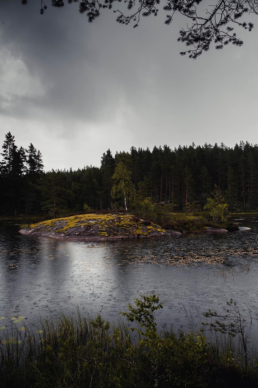 See, Bäume, Wald, dunkel, Reflexion, Wasser, dramatisch, Natur, düster, mystisch, Schweden