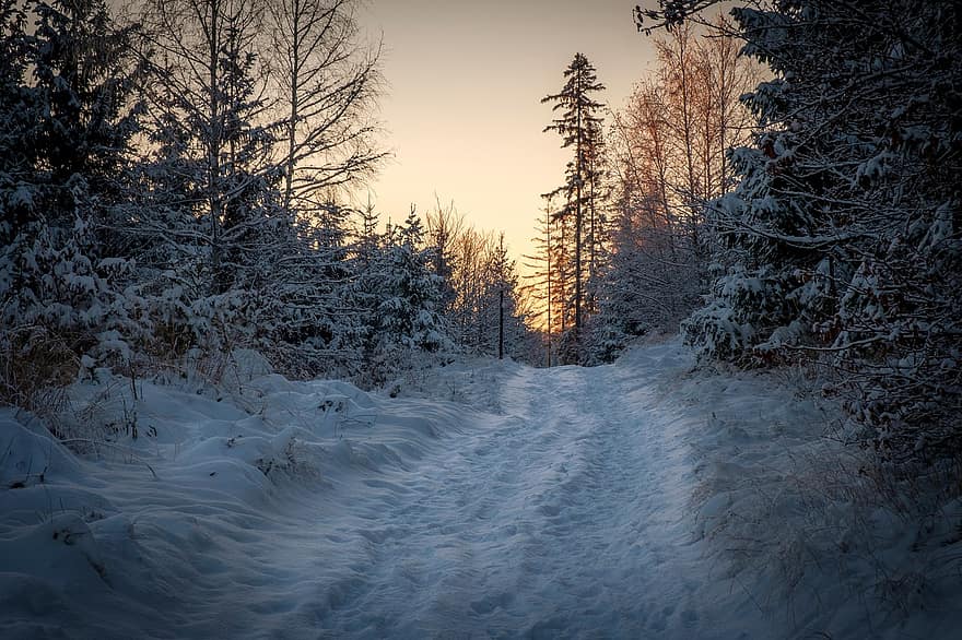 silnice, les, sníh, západ slunce, soumrak, večer, stromy, mráz, zamrzlý, led, zasněžený