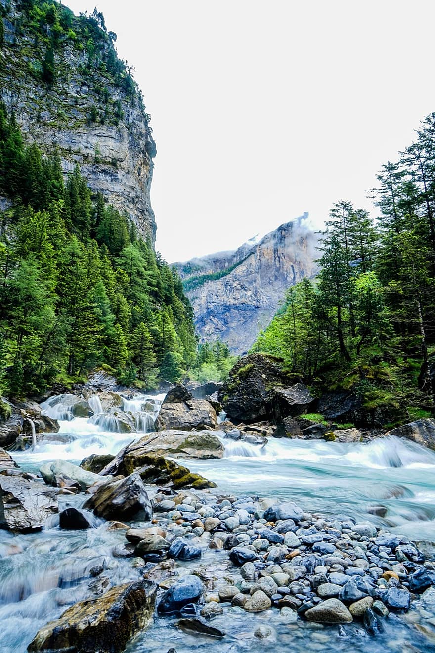 Долина Гастерн, Швейцария, Кандерштег, пеший туризм, воды, лес, природа, пейзаж, высокогорный, гора, река