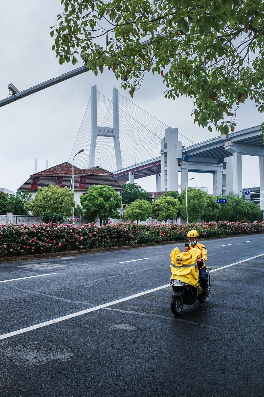 เมือง, ถนน, การท่องเที่ยว, เซี่ยงไฮ้, การขี่จักรยาน