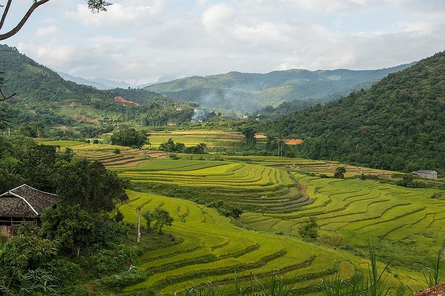 Bao Lac, ris terrasser, vietnam, risfält, norra vietnam, cao bang, natur, landskap, bruka, lantbruk, berg