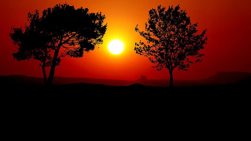solnedgång, träd, silhuett, natur, landskap, himmel, kväll, orange, ljus, skymning, färgrik