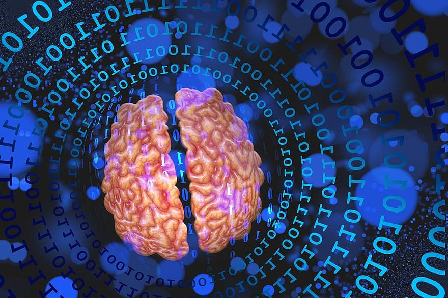 สมอง, หมายเลข, เครือข่าย, ดิจิตอล, เว็บ, เซลล์ประสาท, คิด, ระบบ, เทคโนโลยี
