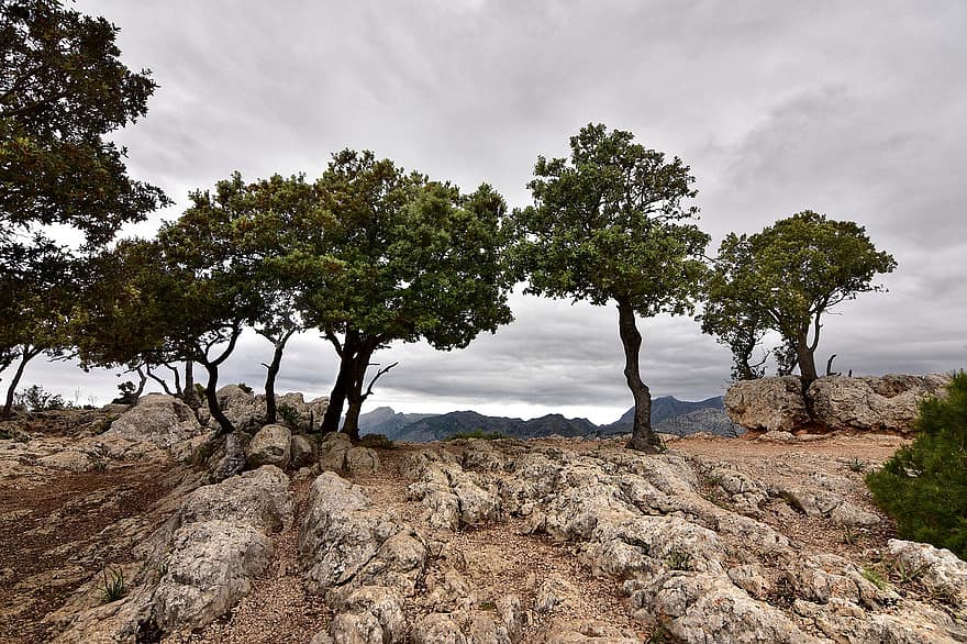 Mallorca, Alarao, Summit, Trees, W, Forest, Mountains, Great, Clouds, Panorama, Nature
