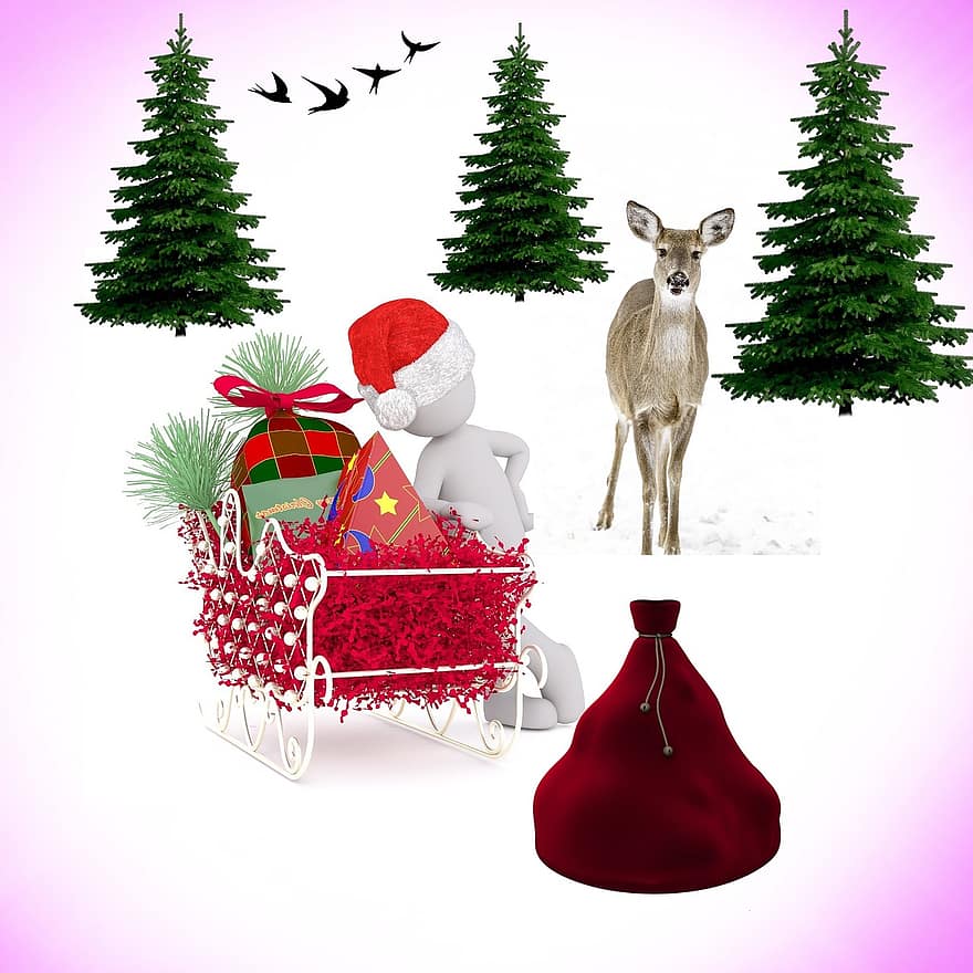 dar, Vánoce, veselé Vánoce, festival, nový rok, jedle, les, dárková taška, 2017, běloch, sáně