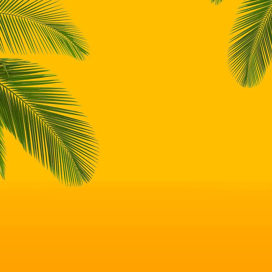 Summer, Palm Tree, Beach, Tropical, Holidays, Island, Nature, Exotic, Leaves, Green, Travel