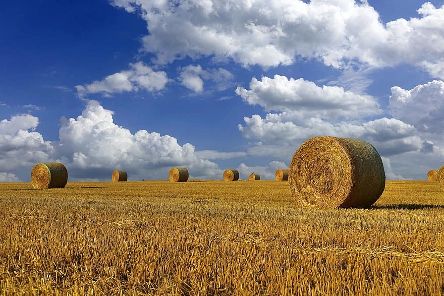 Hay, Straw, Sky, Clouds, Stubble, Harvest, Collections, Summer, Agriculture, Field, Countryside