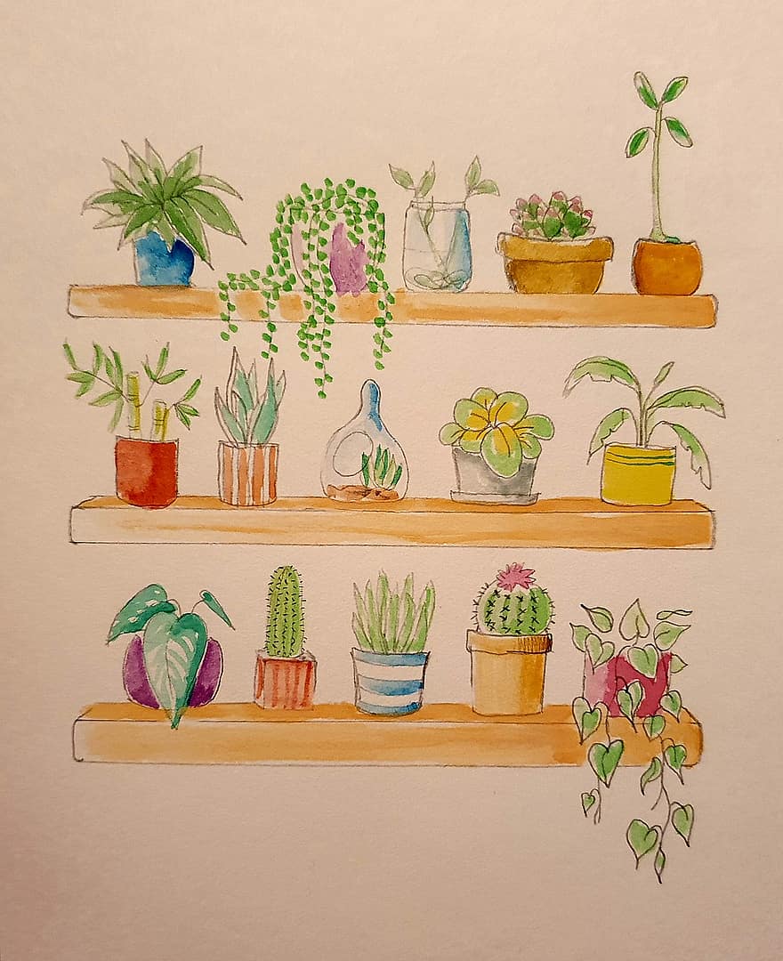 plante, plante samling, botanik, akvarel, kunstværk, havebrug, saftige, kaktus, indendørs planter