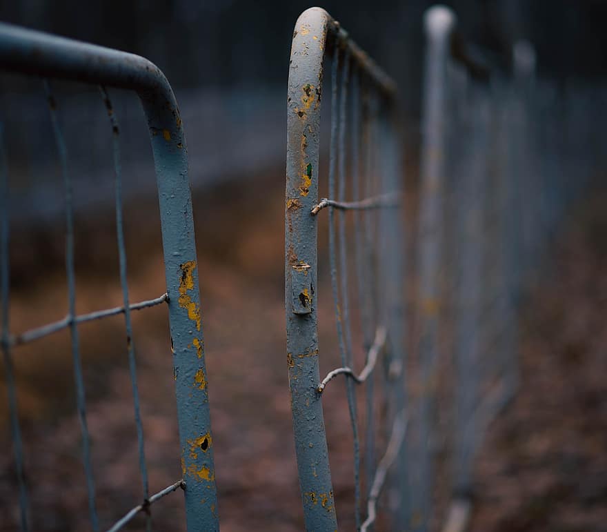 živý plot, plot, konstrukce, podzim, opravit