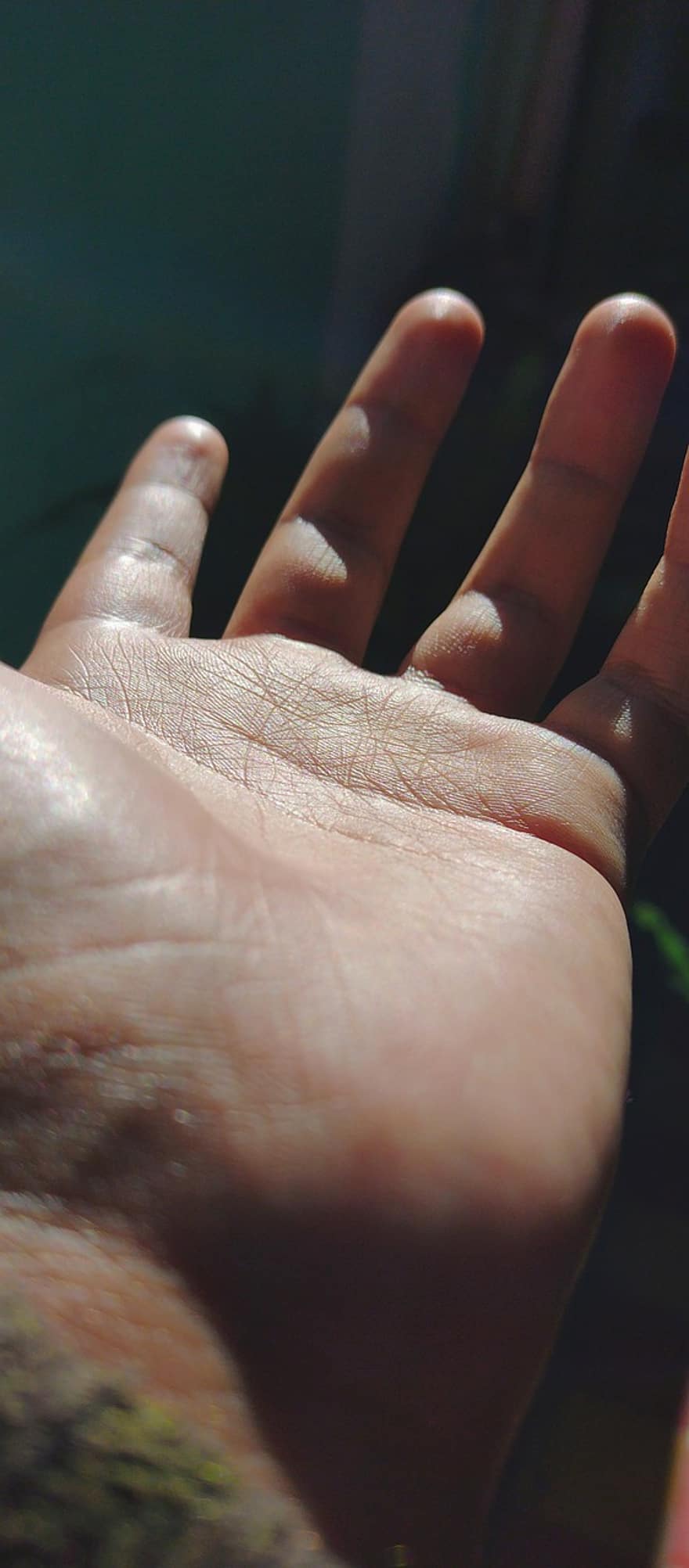 Hand, Palm