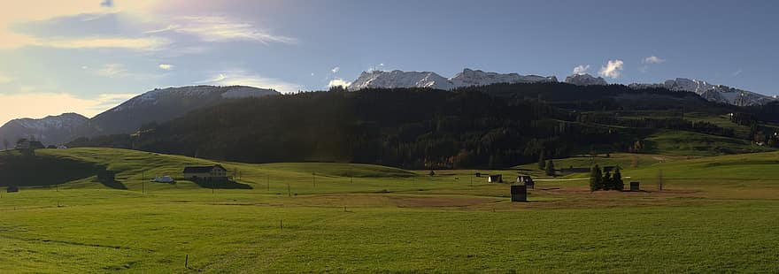 bjerge, græs, Skov, Rejst Moss, drænet, tørv, mose, vegetation, Appenzell, panorama, landskab