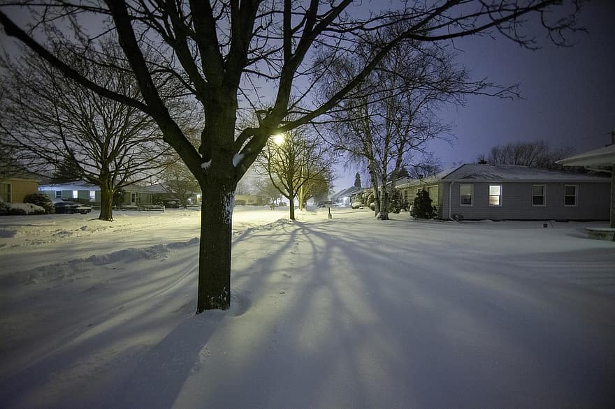 Winter, Night, Neighborhood, Nature, tree, snow, season, dusk, landscape, footpath, ice