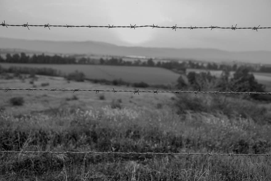 Barbed Wire, Fence, Black And White, Meadow, Field, Farm, Countryside, Dark, Black, Wore