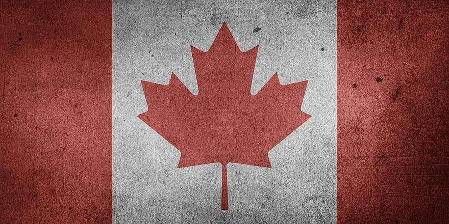 캐나다, 북아메리카, 국기, 깃발
