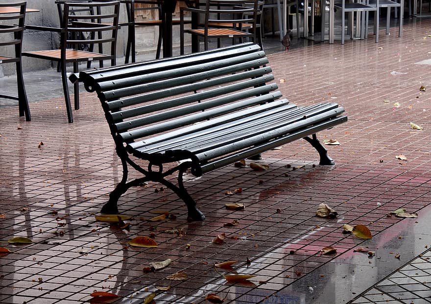 Bench, Seat, Outdoors, Leaves