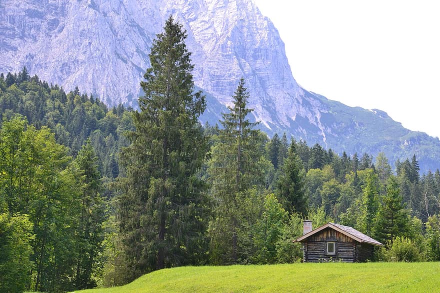Allgäu, bavaria, Alpes, panorama, cabana, campo, montanhas, floresta, arvores, natureza, Prado
