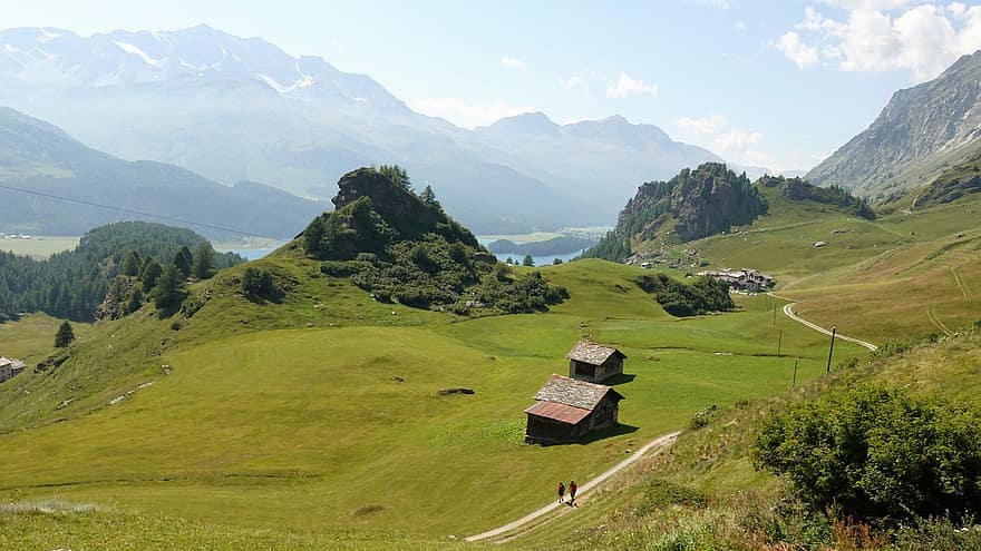 hegyek, mező, rét, kabin, kunyhó, Engadin, Graubünden