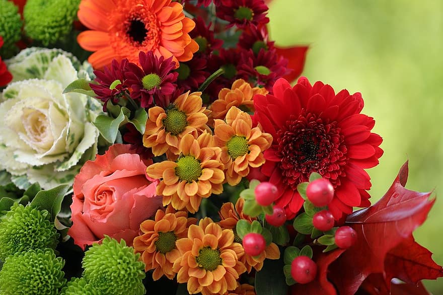 krizantēmas, ziedi, gerberas, pušķis, zied, zieds, ziedu kompozīcija, ziedlapiņām, flora