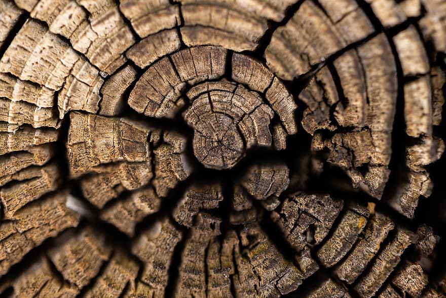 lemn, butuc, copac, textură, de lemn, fundal, macro, model, natură, fundaluri, vechi