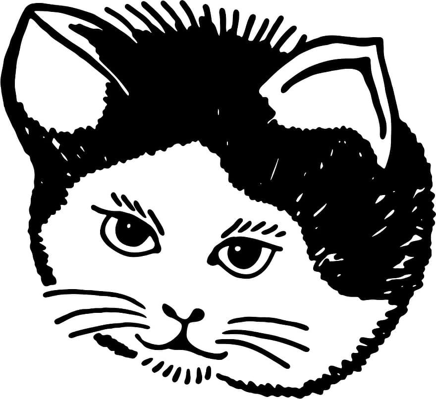 gráfico, desenho animado, gato, Preto, desenhando, animal