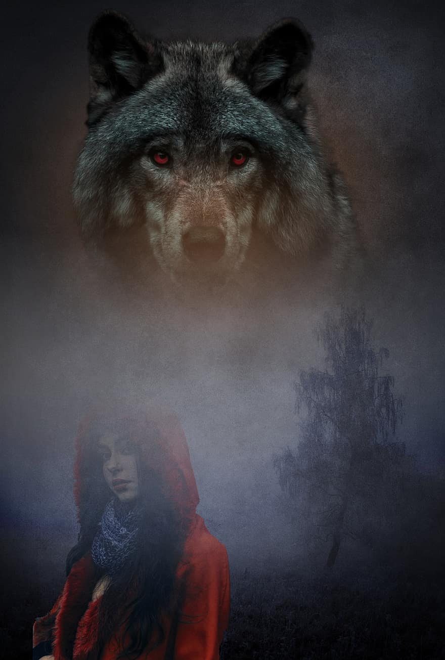 vlk, žena, fantazie, dívka, červená mikina, zvíře, volně žijících živočichů, tajemný, les