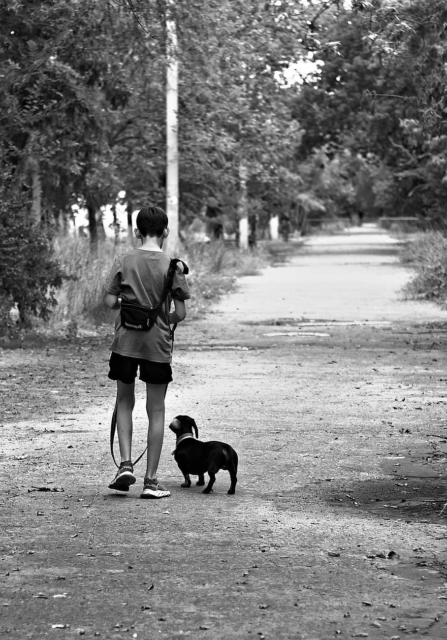 Boy, Dog, Road, Portrait, Kid, Child, Young, Pet, Puppy, Animal, Walking