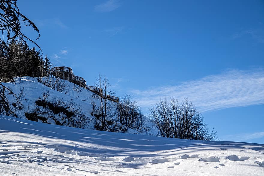 sne, vinter, bjerg, landskab, Savoie, sæson, blå, træ, Skov, is, frost