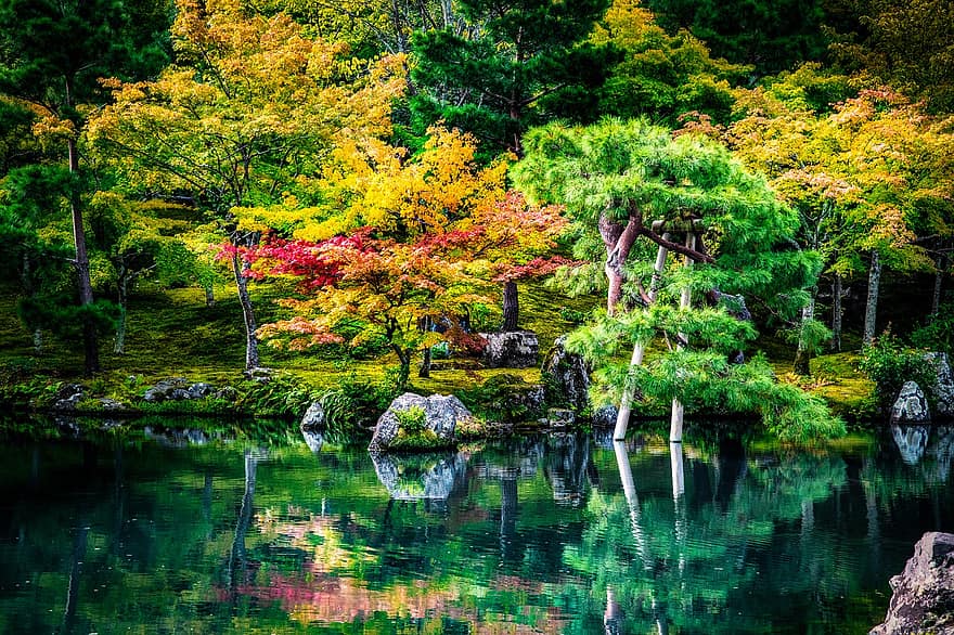 lago, acero, albero, foresta, giardino, acqua, giardino giapponese