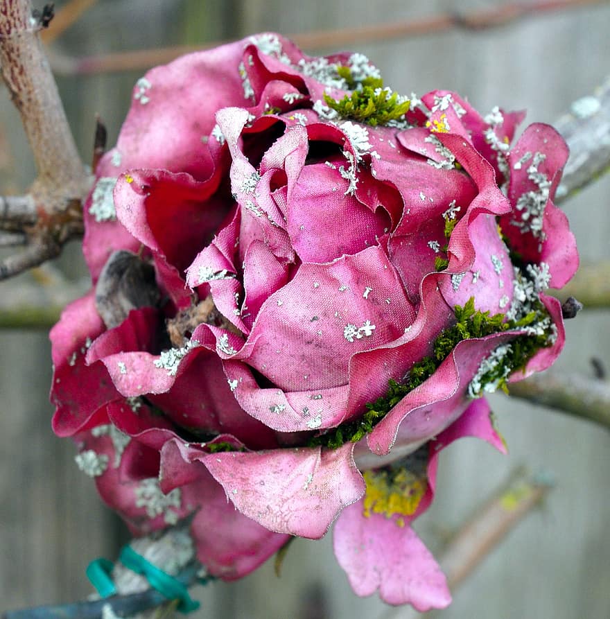 Flower, Rose, Textile Flower