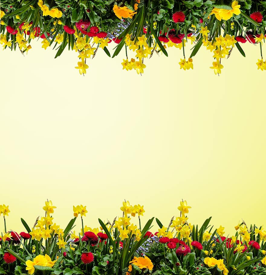 bakgrund, blommor, gräns, digitalt papper, ram, påskliljor, blomma, växter, gul, scrapbooking