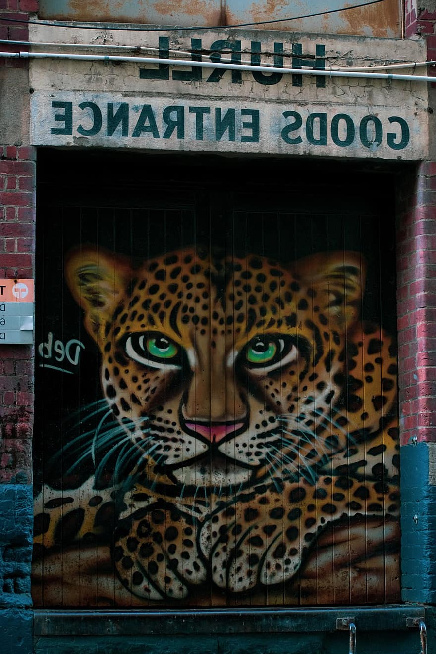 væg, graffiti, bygning, gade, leopard, dyr, dyreliv, vægmaleri, design, kunst, kunstværk
