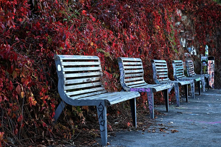 ławki, jesień, Natura, park, spadek, pora roku, siedzenie, drewno, liść, ławka, krzesło