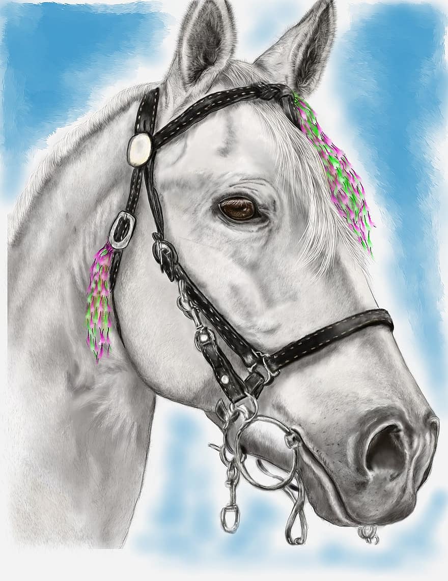 Horse, White, Portrait, Digital Artwork, Drawing
