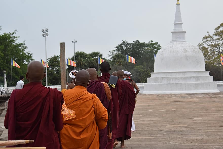 temppeli, munkit, nunna, Buddha, buddhalaisuus, buddhalainen, uskonto, Aasia, rukous, Sri Lanka