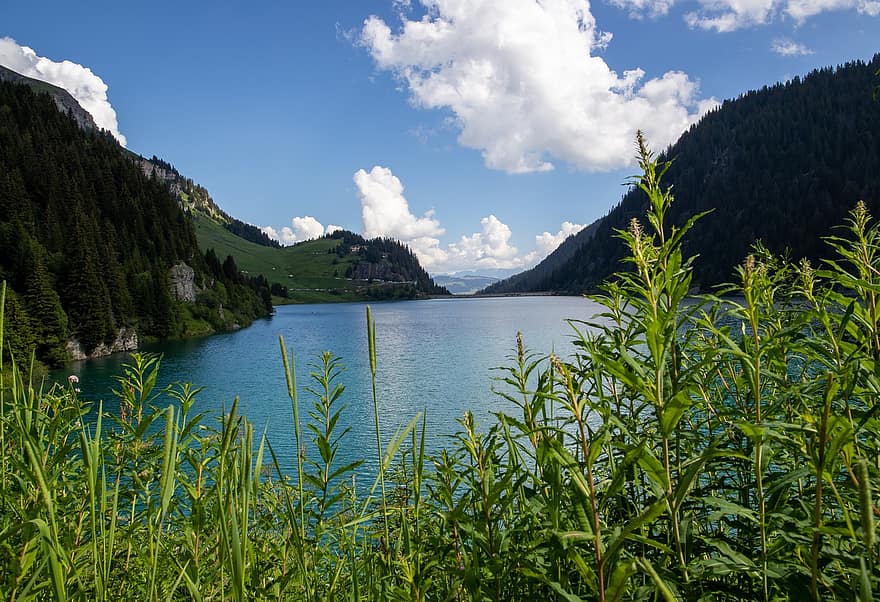 dæmning, Saint-Guérin, sø, bjerg, Beaufortain, Savoie, Frankrig, sommer, landskab