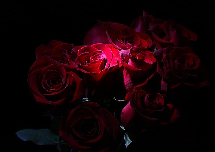 růže, kytice, květiny, milovat, román, romantický, květ, dar, okvětní lístky, svatba, Červené