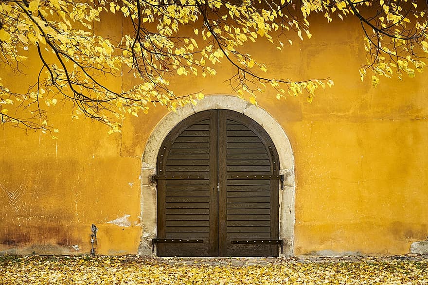 ngã, bức tường màu vàng, cánh cổng, cửa, Tường, mùa thu, lá, tán lá, chi nhánh, cây, ngoài trời