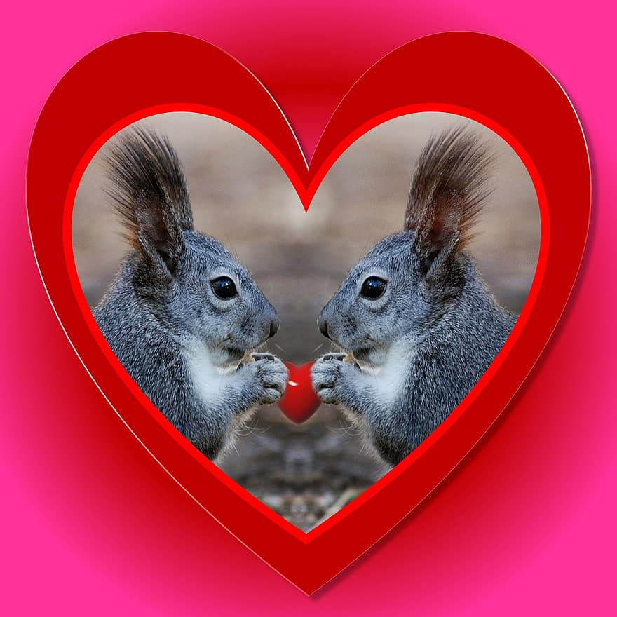 Valentin, cœur, amour, marrant, écureuil, couple, journée, romantique, célébrer, mignonne, camarade