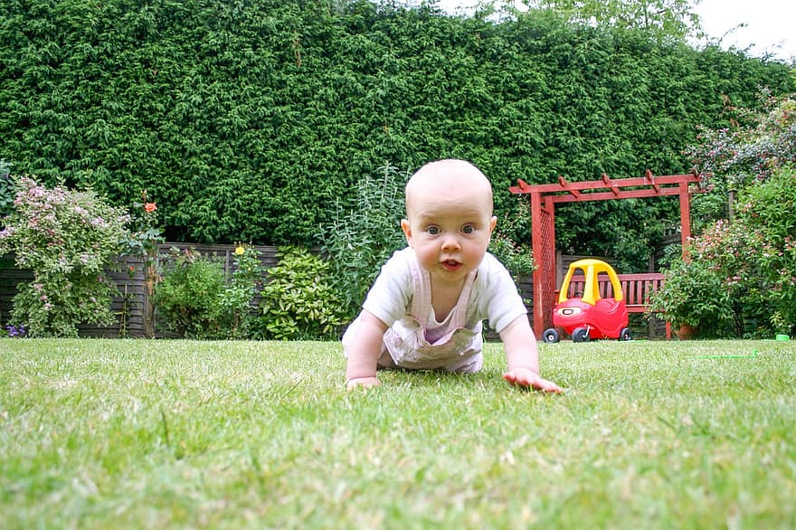 bebelus, fată, copil, crawling, iarbă